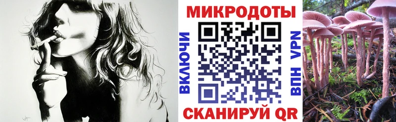 Галлюциногенные грибы MAGIC MUSHROOMS  закладки  блэк спрут tor  Магас 